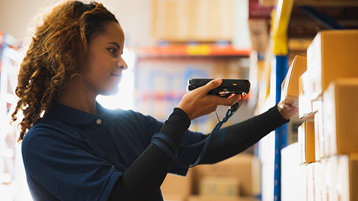 Harmonize Sistem Nedir